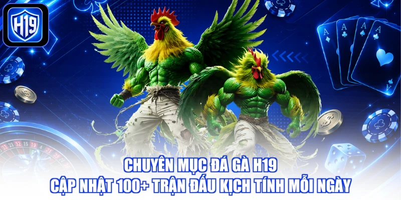Chuyên mục đá gà H19 cập nhật 100+ trận đấu kịch tính mỗi ngày