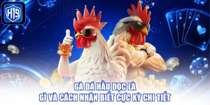 Gà Đá Hầu Dọc Là Gì Và Cách Nhận Biết Cực Kỳ Chi Tiết