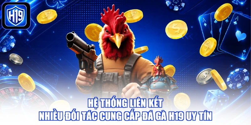 Hệ thống liên kết nhiều đối tác cung cấp đá gà H19 uy tín